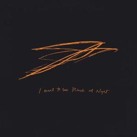 I Want to See Pulanski at Night - 2013 • Álbum