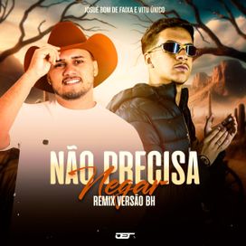 Não Precisa Negar (Versão Bh) - 2024 • Sencillo/EP