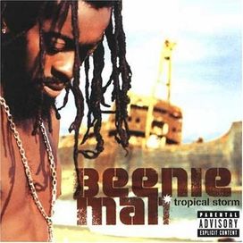 Tropical Storm - 2002 • Álbum