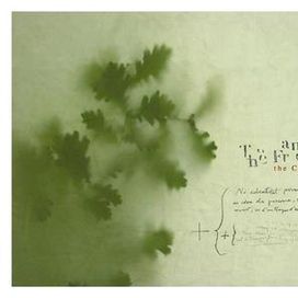 The Cost - 2007 • Álbum