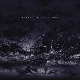 Vendrás a Verte Morir - 2020 • Álbum