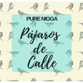 Pájaros de Calle - 2018 • Single/EP