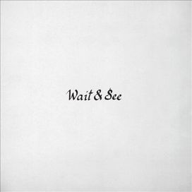 Wait &amp; See - 2016 • Single/EP