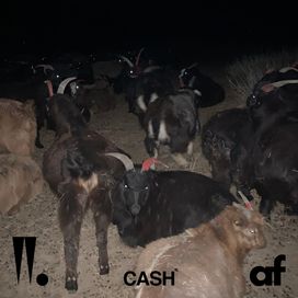 Cash - 2018 • Single/EP