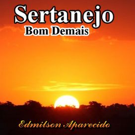 Sertanejo Bom Demais - 2023 • Álbum