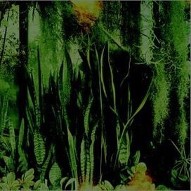 Wood/Water - 2002 • Álbum