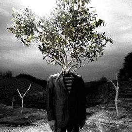 Revolutionary - 2010 • Álbum