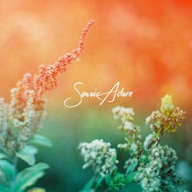 Full Bloom - 2019 • Álbum