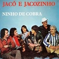 Ninho De Cobra - 1975 • Álbum