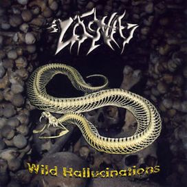 WILD HALLUCINATIONS - 2007 • Álbum