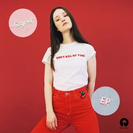 Don't Kill My Vibe - 2017 • Single/EP