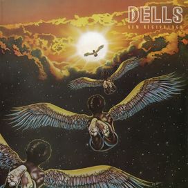 New Beginnings - 1978 • Álbum