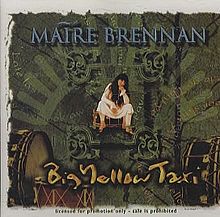 Big Yellow Taxi - 1993 • Single/EP