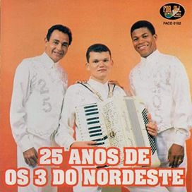 25 Anos - 1998 • Álbum