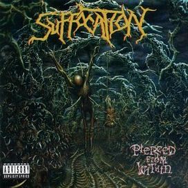 Pierced From Within - 1995 • Álbum