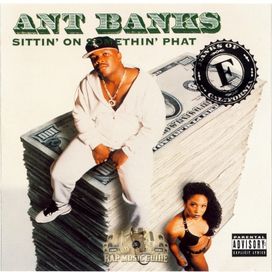 Sittin' On Somethin' Phat - 1993 • Álbum