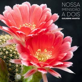 Nossa Imensidão a Dois - 2021 • Single/EP