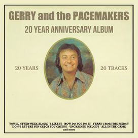 20 Year Anniversary Album - 1982 • Recopilación