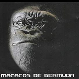 Te Esqueci - 2007 • Álbum