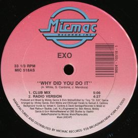 Why Did You Do It - 1989 • Single/EP