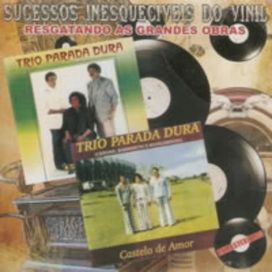 Sucessos Inesquecíveis do Vinil - 2011 • Coletânea