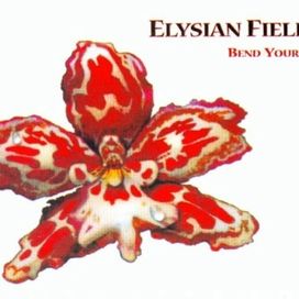 Bend Your Mind - Elysian Fields