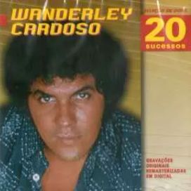 Seleção de Ouro -20 Grandes Sucessos - Coletânea