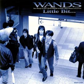 Little Bit... - 1993 • Álbum