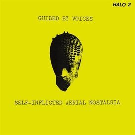 Self-Inflicted Aerial Nostalgia - 1989 • Álbum