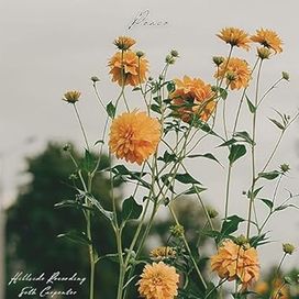 Peace - 2023 • Single/EP