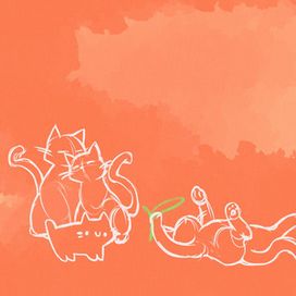 Some Cats but Mostly Classical - 2024 • Álbum