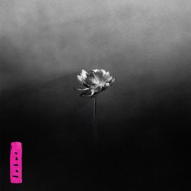 Lotus - 2025 • Álbum