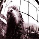 Vs. - 1993 • Álbum