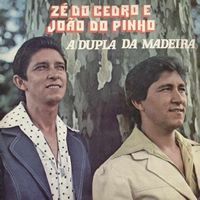 A Dupla Da Madeira - 1980 • Álbum