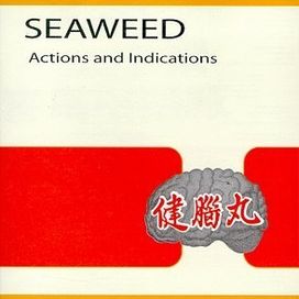 Actions And Indications - 1998 • Álbum