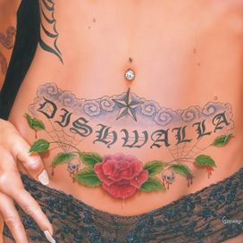 Dishwalla - 2005 • Álbum