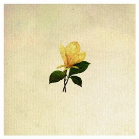 The Grand Magnolias - 2010 • Álbum