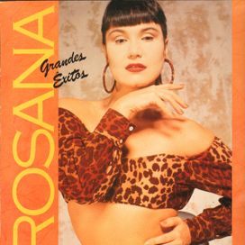 Grandes Êxitos - 1990 • Coletânea