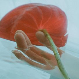 SHALLOW (PPL SWIM IN SHALLOW WATER) - 2020 • Single/EP