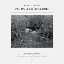 Pruning Of The Lower Limbs - 2025 • Álbum