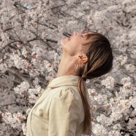 Spring Songs On The Fly - 2025 • Álbum