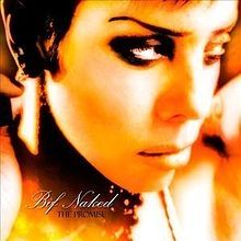 The Promise - 2009 • Álbum