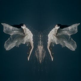 Dream - 2025 • Single/EP