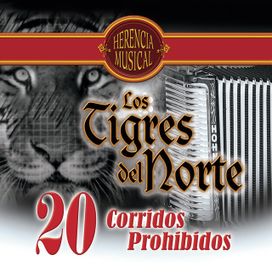 20 Corridos Prohibidos - 2007 • Coletânea