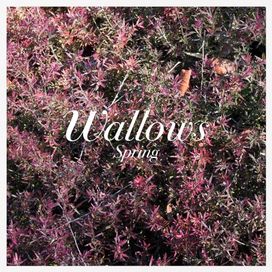 Spring EP - 2018 • Álbum