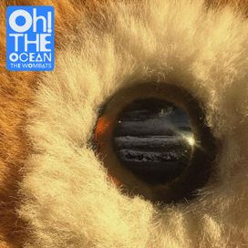 Oh! The Ocean - 2025 • Álbum