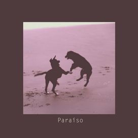 Paraíso - 2017 • Álbum