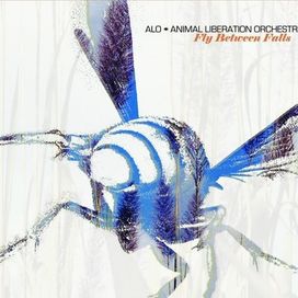 Fly Between Falls - 2006 • Álbum