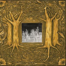Under Branch &amp; Thorn &amp; Tree - 2015 • Álbum