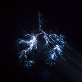 When Wind Meets Fire - 2024 • Álbum